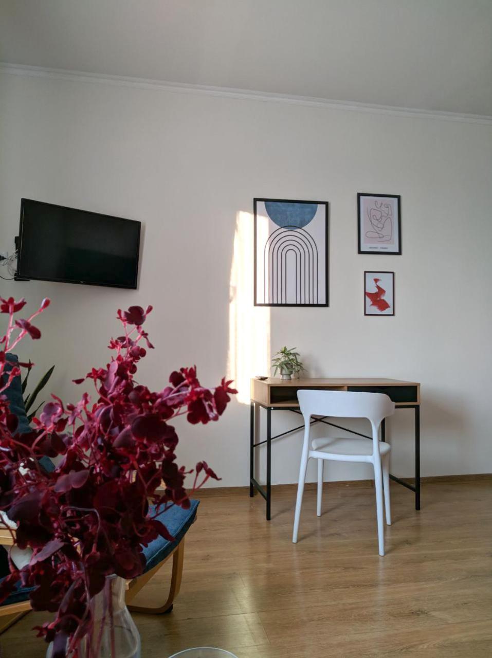 Best Apartment In The Center Mukacheve Exterior foto
